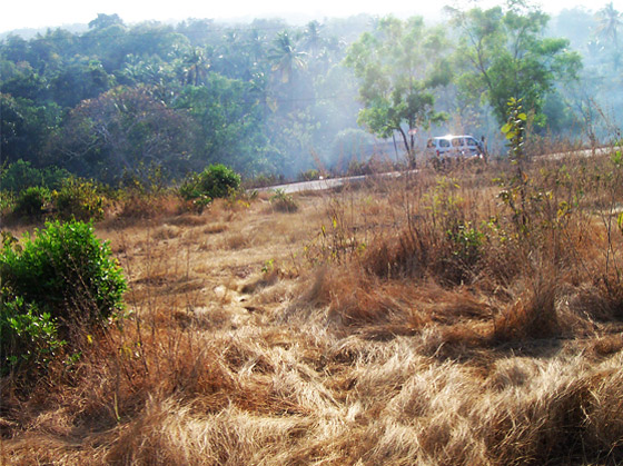 land and plot for sale near Mopa Goa